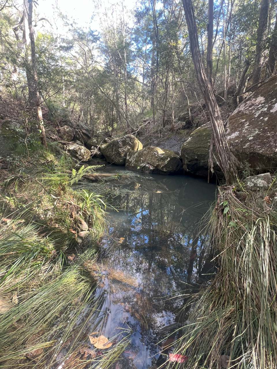 Coast Range Road, Pillar Valley For Sale by Farmbuy.com - image 4