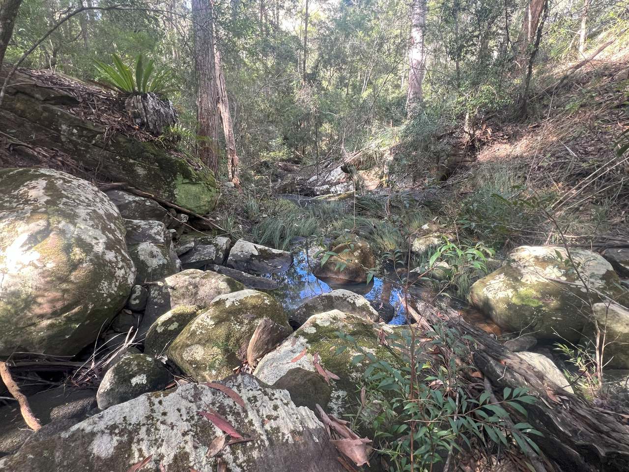 Coast Range Road, Pillar Valley For Sale by Farmbuy.com - image 6