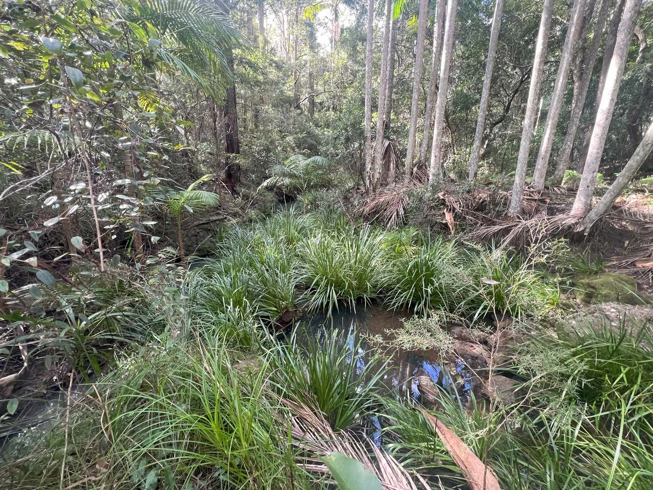 Coast Range Road, Pillar Valley For Sale by Farmbuy.com - image 11