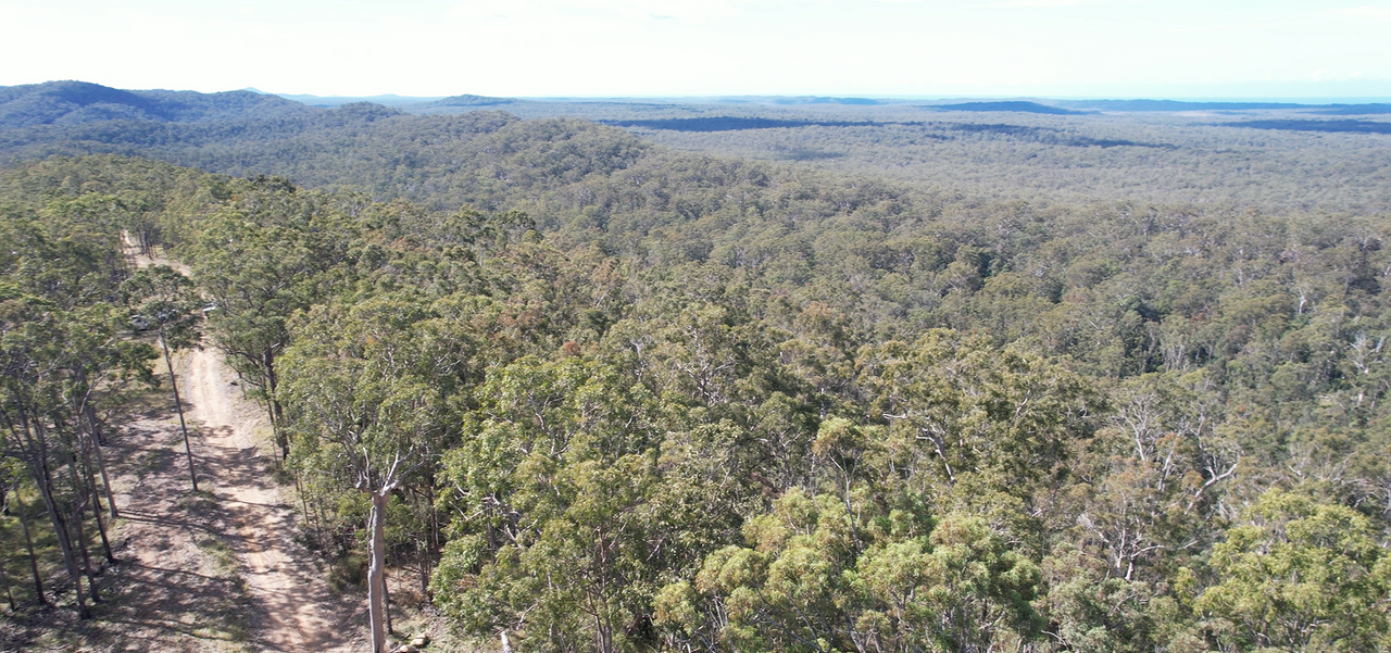 Coast Range Road, Pillar Valley For Sale by Farmbuy.com - image 15