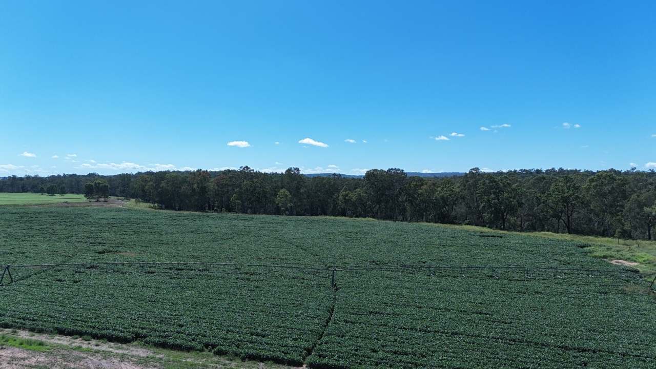 24962 Burnett Highway, Ceratodus For Sale by Farmbuy.com - image 8