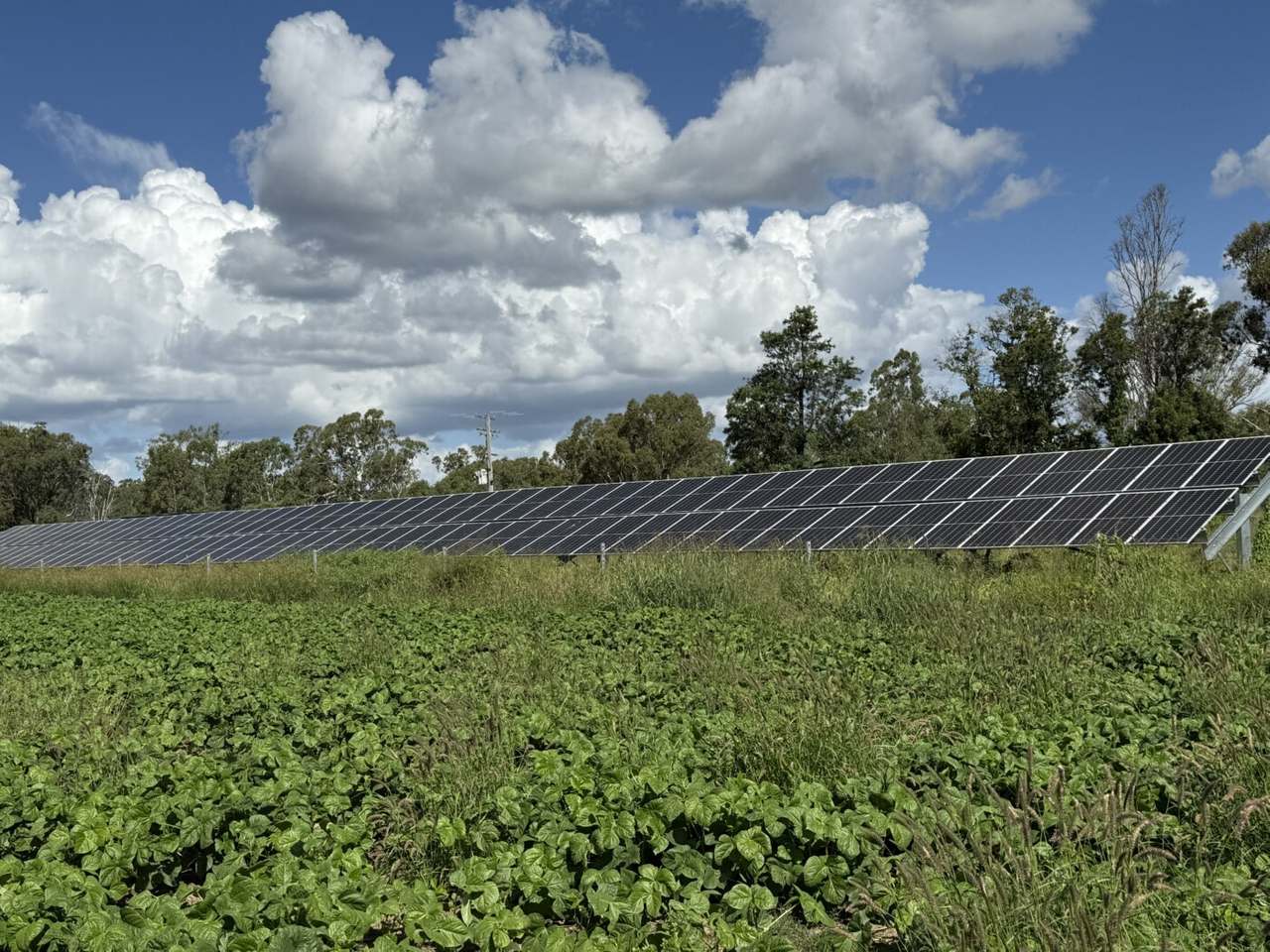 24962 Burnett Highway, Ceratodus For Sale by Farmbuy.com - image 4