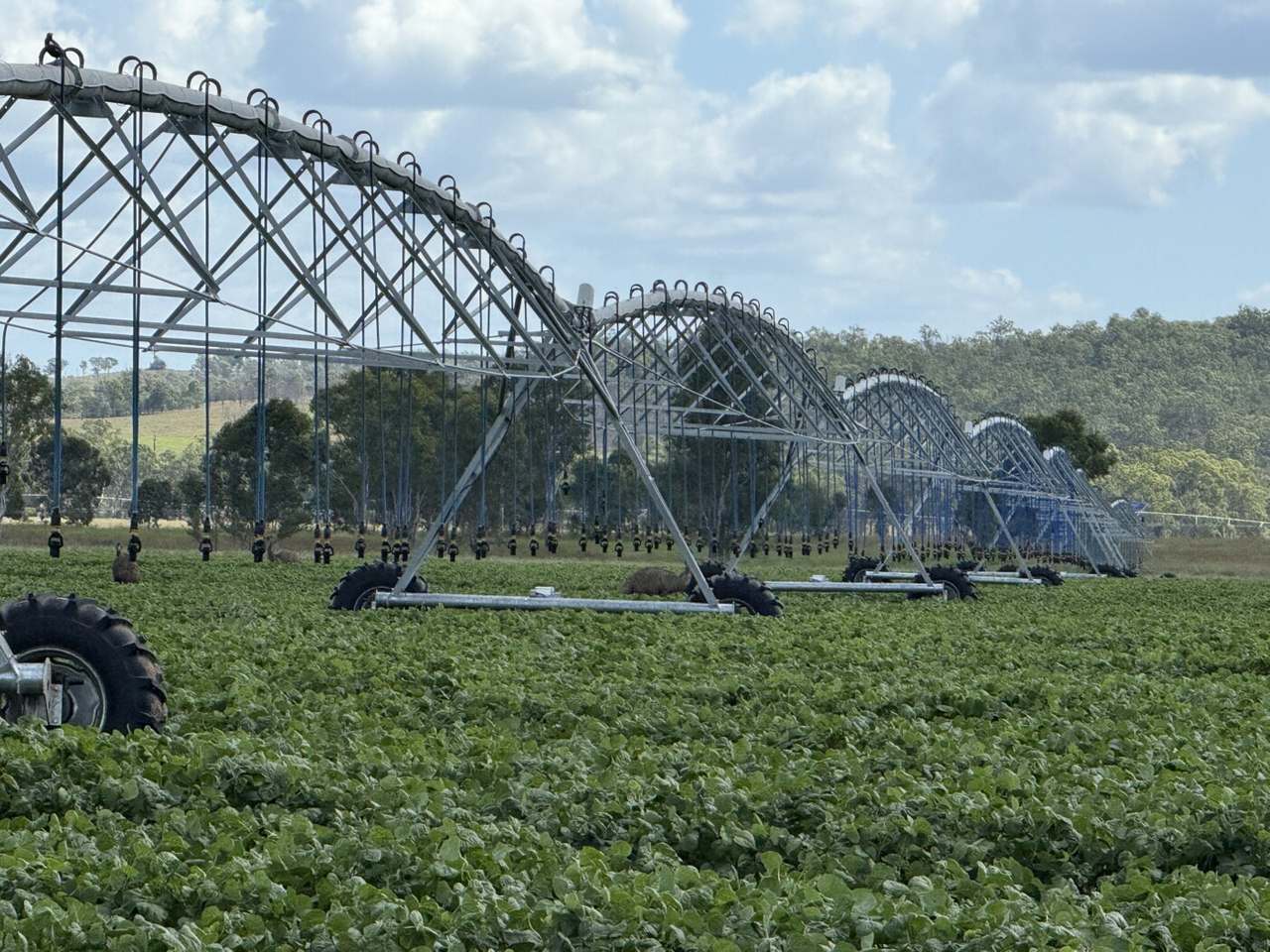 24962 Burnett Highway, Ceratodus For Sale by Farmbuy.com - image 5