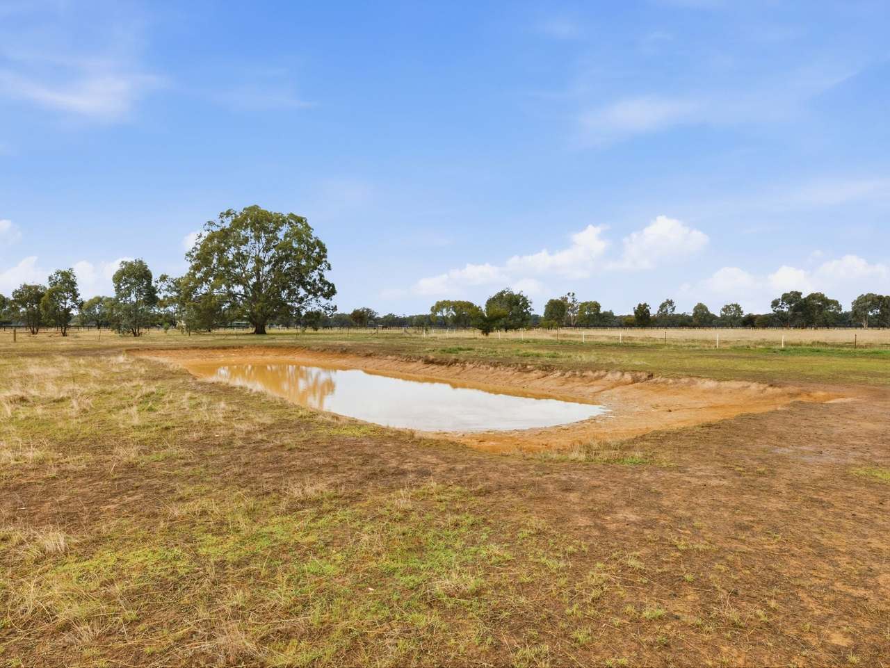 591 Baddaginnie - Benalla Road, Baddaginnie Expressions of Interest by Farmbuy.com - image 25