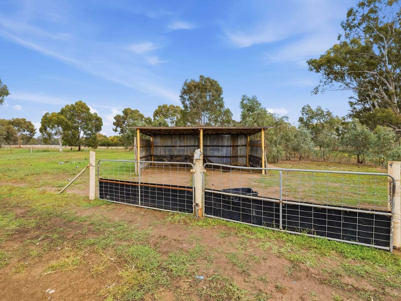 591 Baddaginnie - Benalla Road, Baddaginnie Expressions of Interest by Farmbuy.com - image 31