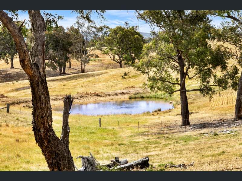 498 Caralulup Road, Lamplough For Sale by Farmbuy.com - image 16