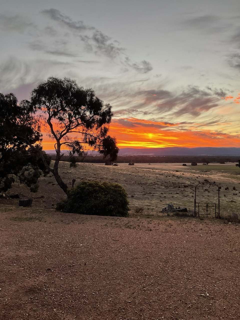 498 Caralulup Road, Lamplough For Sale by Farmbuy.com - image 18