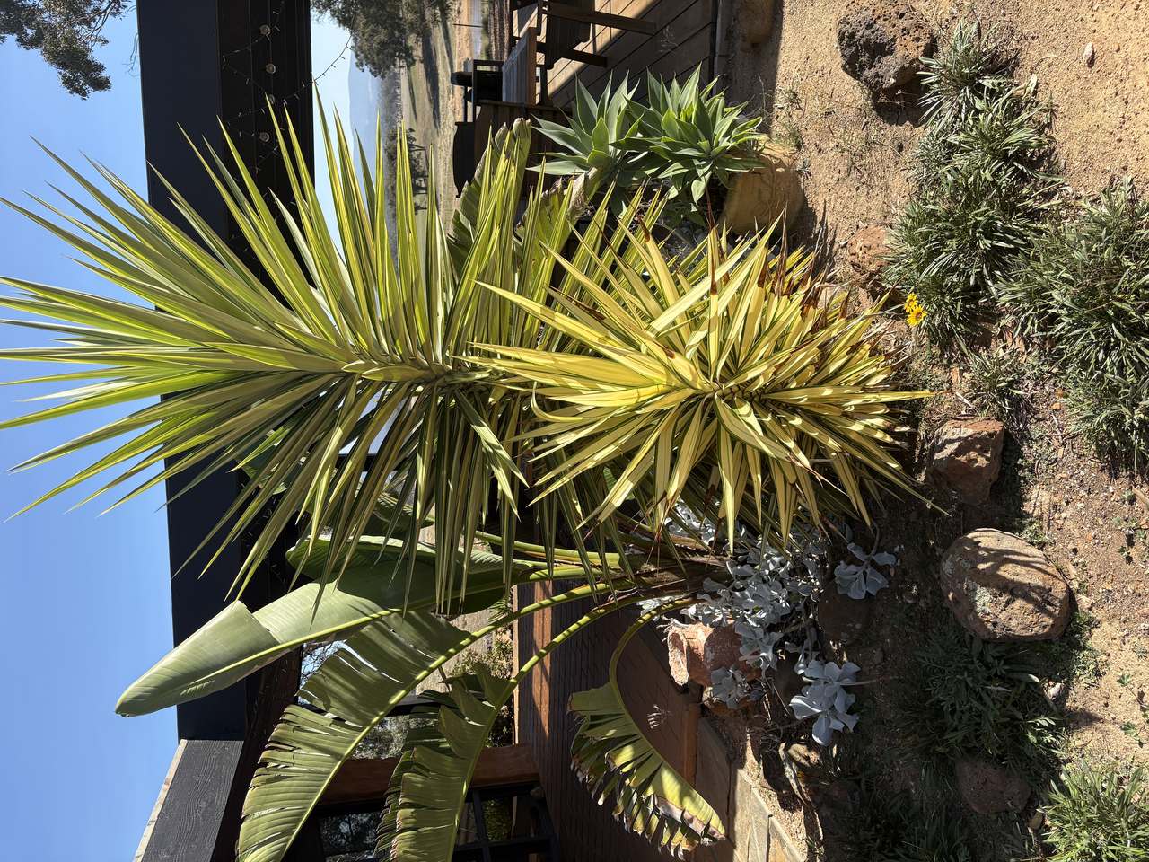 498 Caralulup Road, Lamplough For Sale by Farmbuy.com - image 21