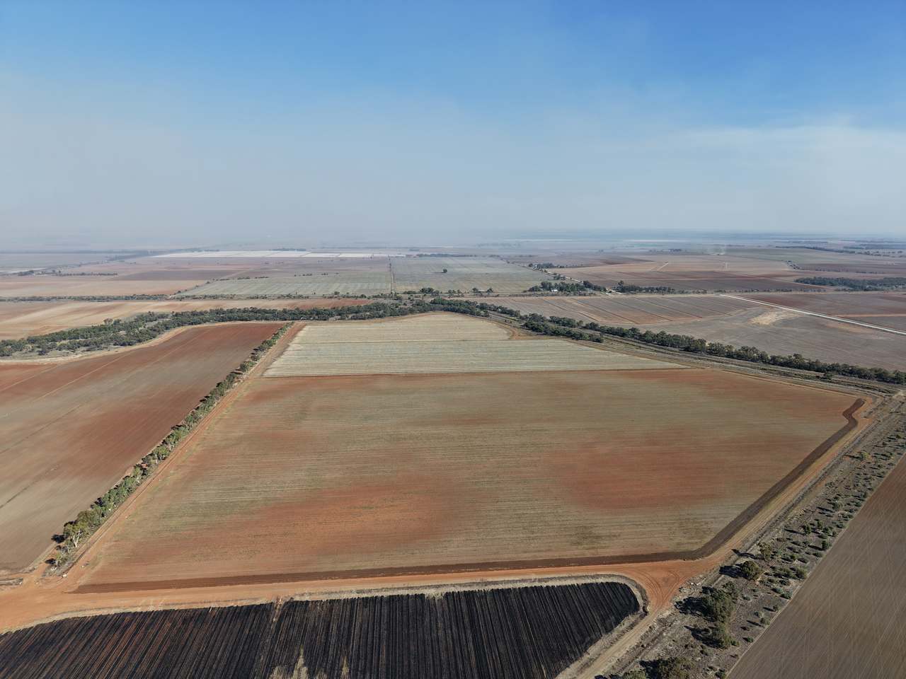 4589 Kidman Way, Coleambally For Sale by Farmbuy.com - image 18
