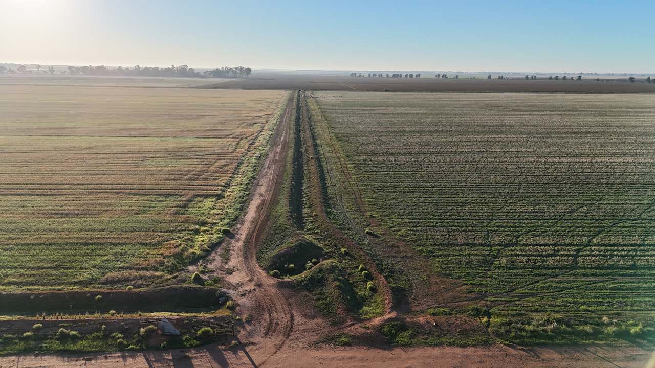 418 Gaston Road, Coleambally For Sale by Farmbuy.com - image 11