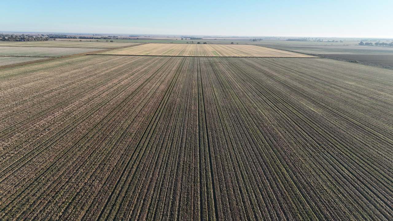 418 Gaston Road, Coleambally For Sale by Farmbuy.com - image 6