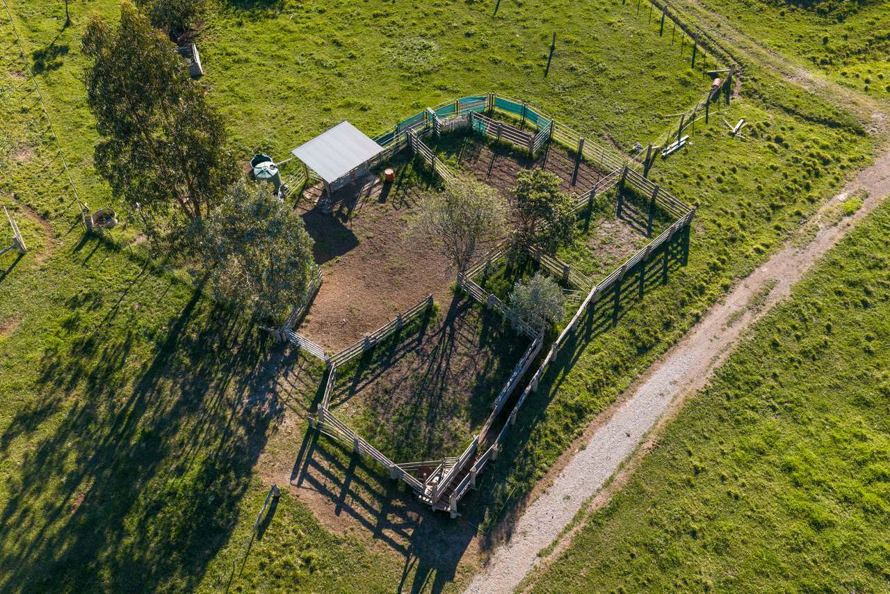 1551 Gelantipy Road, Murrindal For Sale by Farmbuy.com - image 25