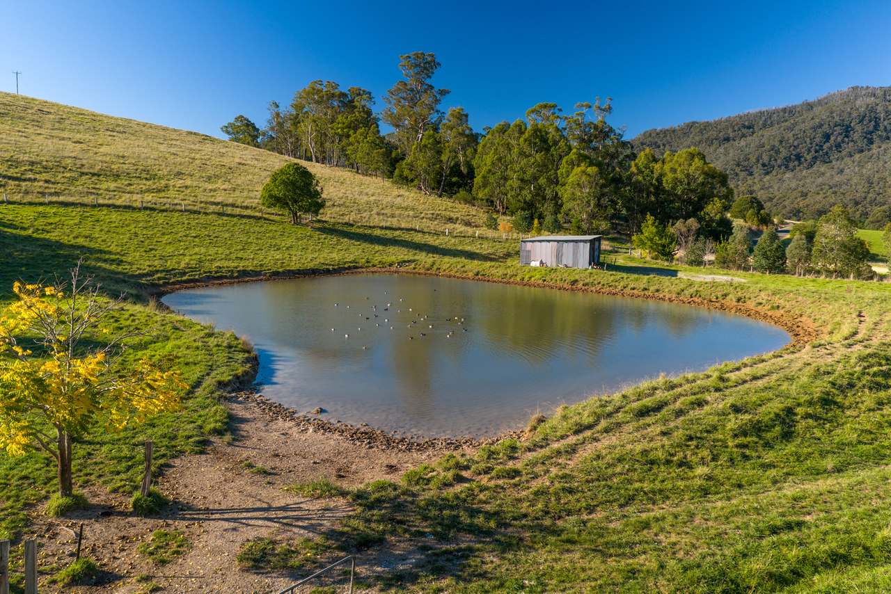 1551 Gelantipy Road, Murrindal For Sale by Farmbuy.com - image 22