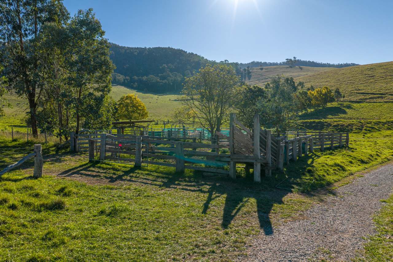 1551 Gelantipy Road, Murrindal For Sale by Farmbuy.com - image 26