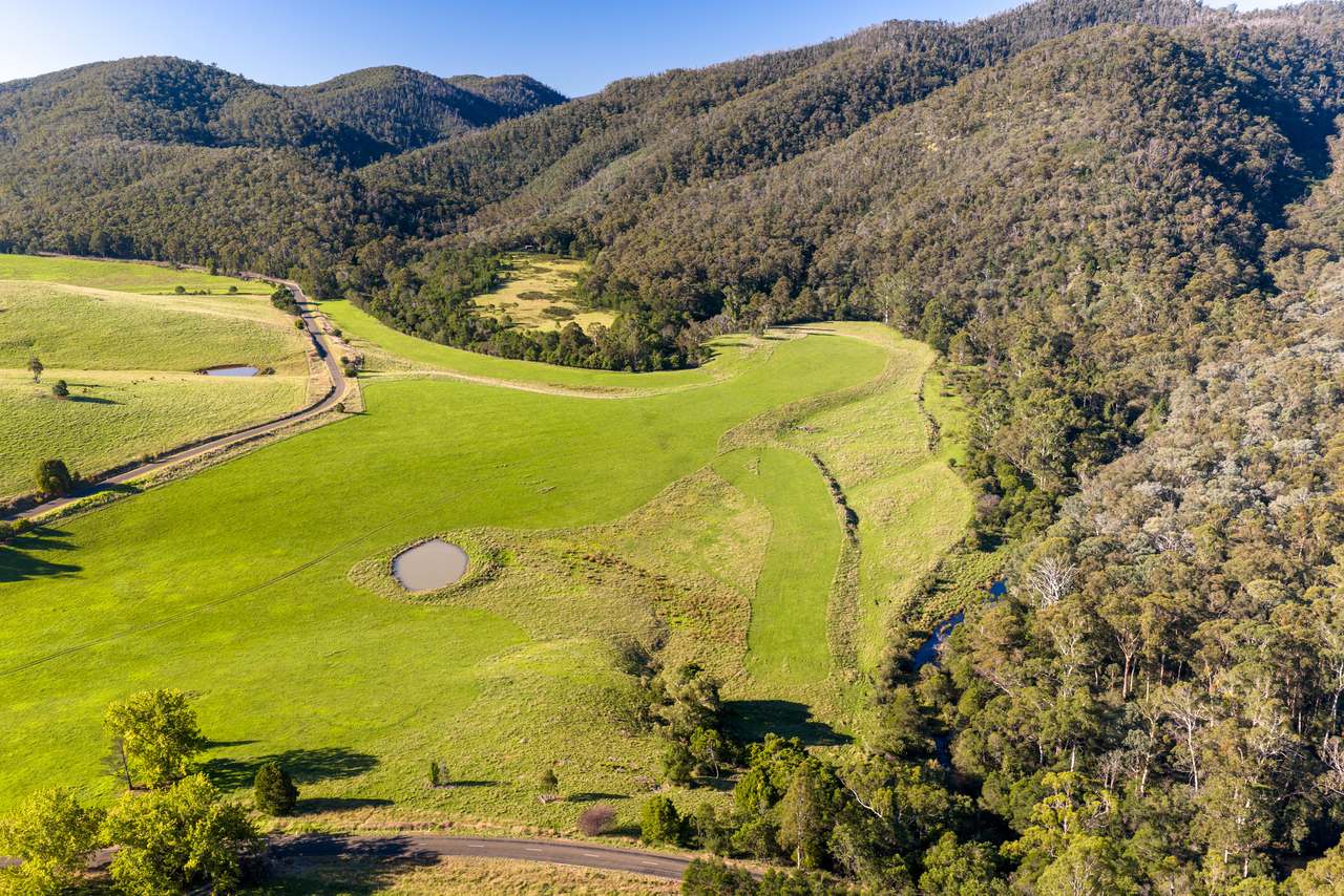 1551 Gelantipy Road, Murrindal For Sale by Farmbuy.com - image 3