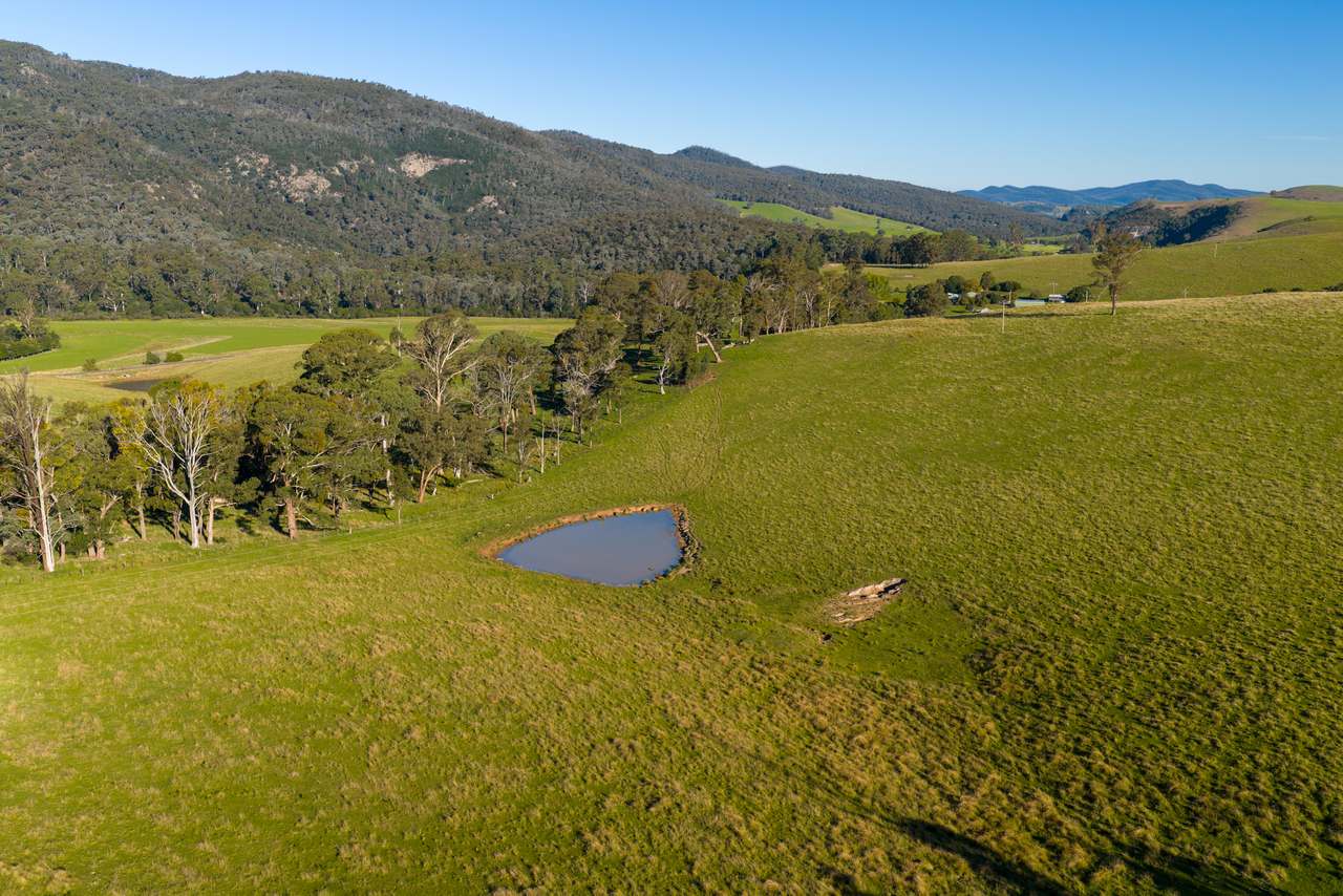 1551 Gelantipy Road, Murrindal For Sale by Farmbuy.com - image 24
