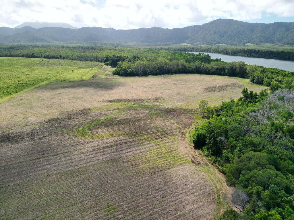 Mossman Daintree Road, Lower Daintree Expressions of Interest by Farmbuy.com - image 3