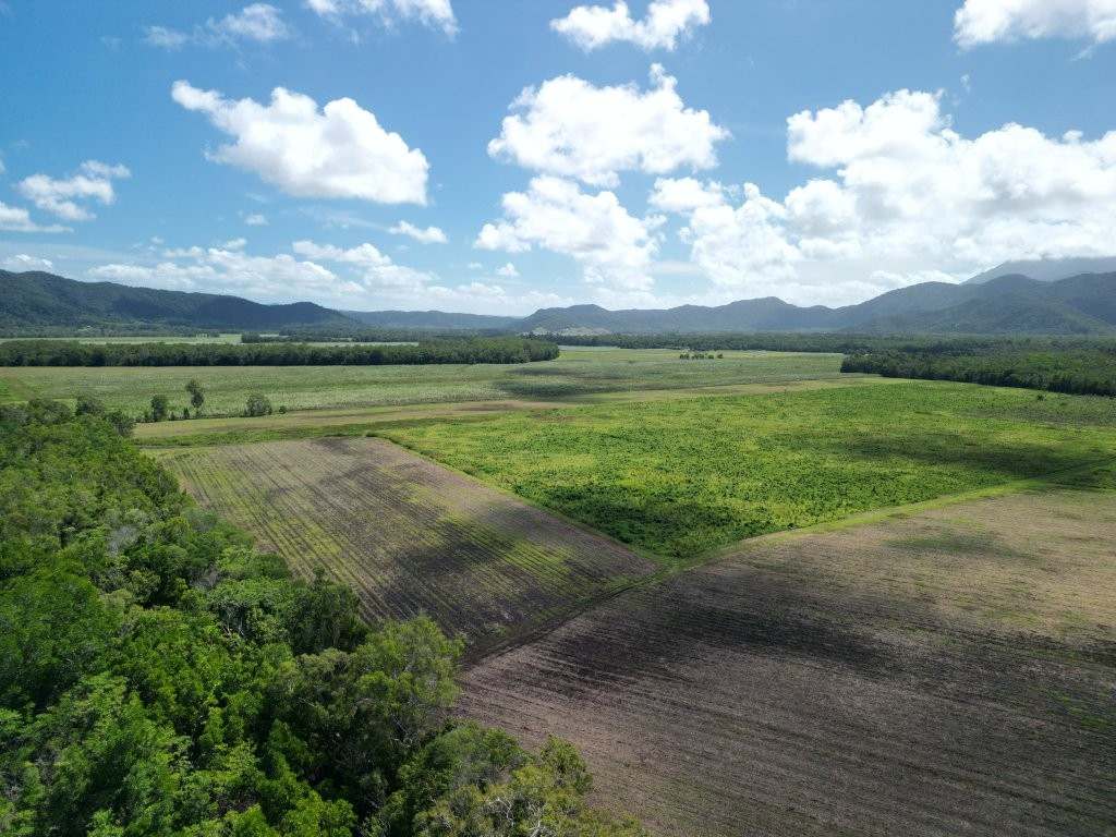Mossman Daintree Road, Lower Daintree Expressions of Interest by Farmbuy.com - image 17