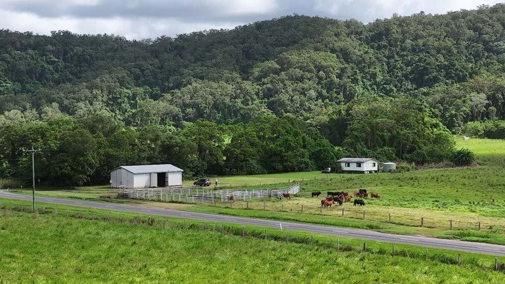 Mossman Daintree Road, Lower Daintree Expressions of Interest by Farmbuy.com - image 13