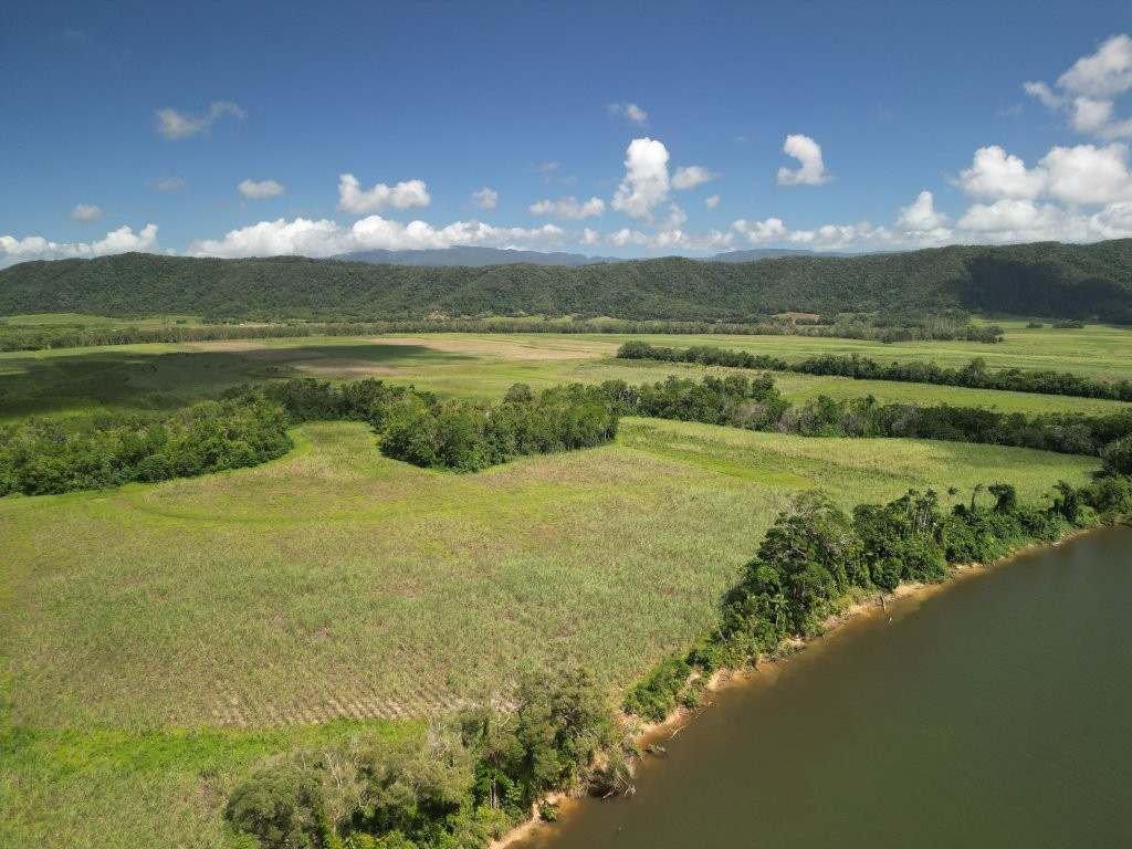 Mossman Daintree Road, Lower Daintree Expressions of Interest by Farmbuy.com - image 5