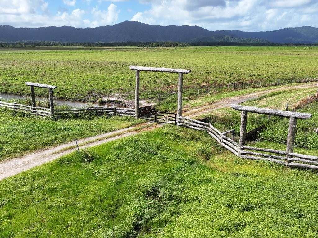 Mossman Daintree Road, Lower Daintree Expressions of Interest by Farmbuy.com - image 12