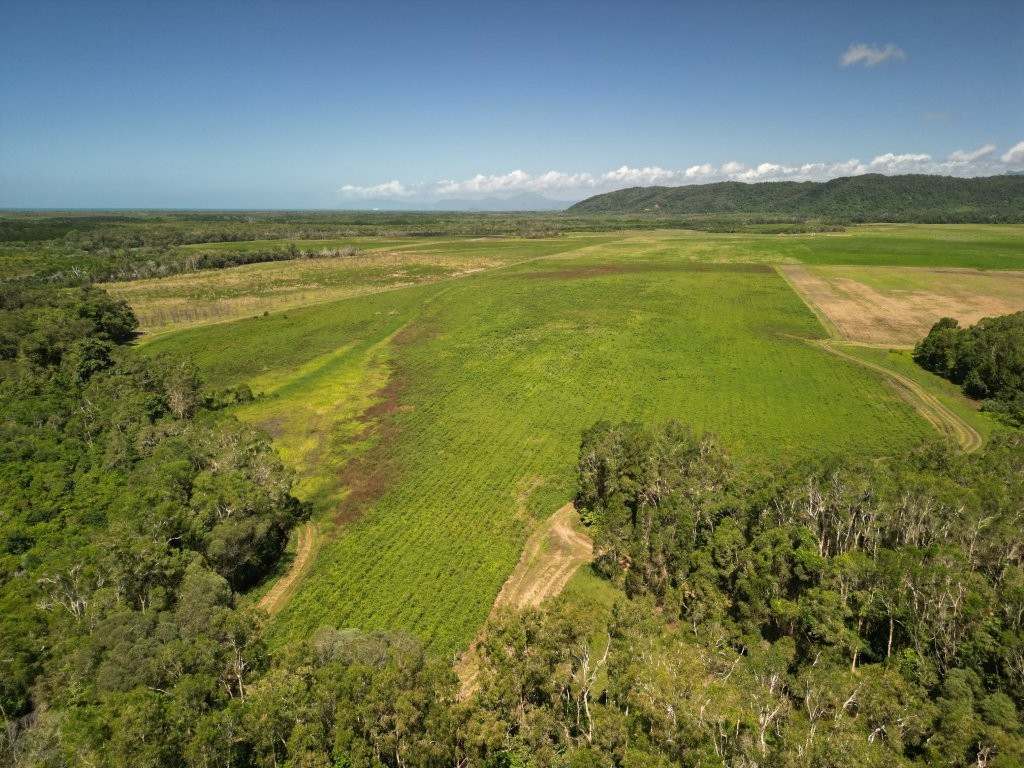 Mossman Daintree Road, Lower Daintree Expressions of Interest by Farmbuy.com - image 16