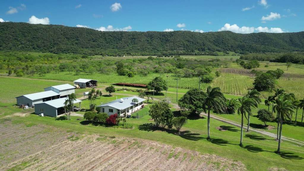 Mossman Daintree Road, Lower Daintree Expressions of Interest by Farmbuy.com - image 10