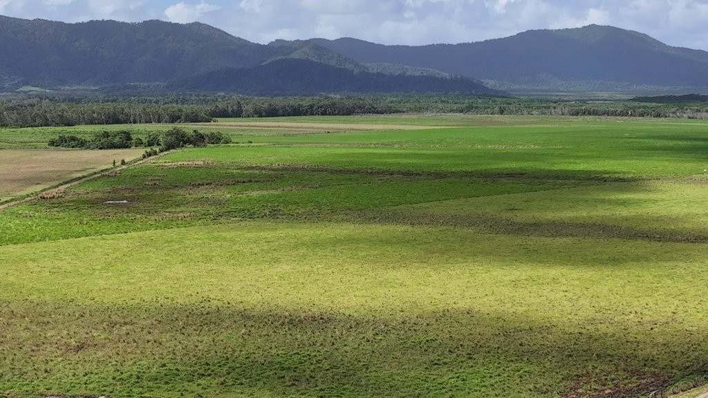 Mossman Daintree Road, Lower Daintree Expressions of Interest by Farmbuy.com - image 14