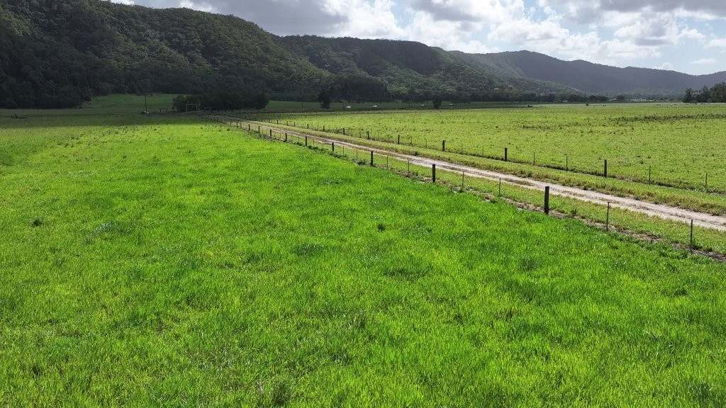 Mossman Daintree Road, Lower Daintree Expressions of Interest by Farmbuy.com - image 25