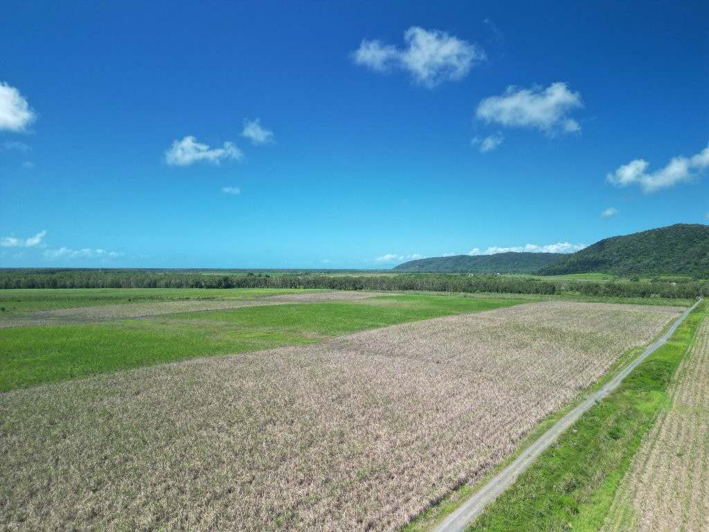 Mossman Daintree Road, Lower Daintree Expressions of Interest by Farmbuy.com - image 7