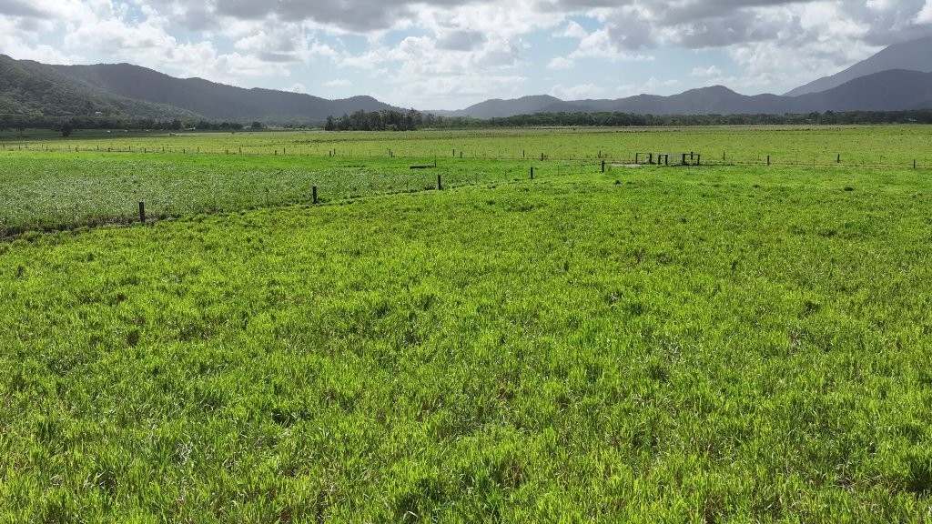 Mossman Daintree Road, Lower Daintree Expressions of Interest by Farmbuy.com - image 31
