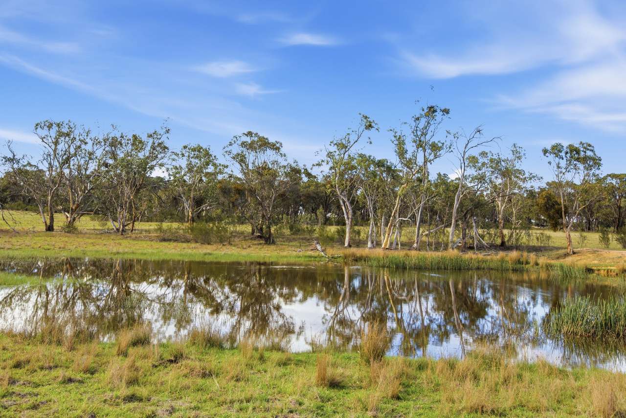 8815 Kings Highway, Bungendore For Sale by Farmbuy.com - image 32