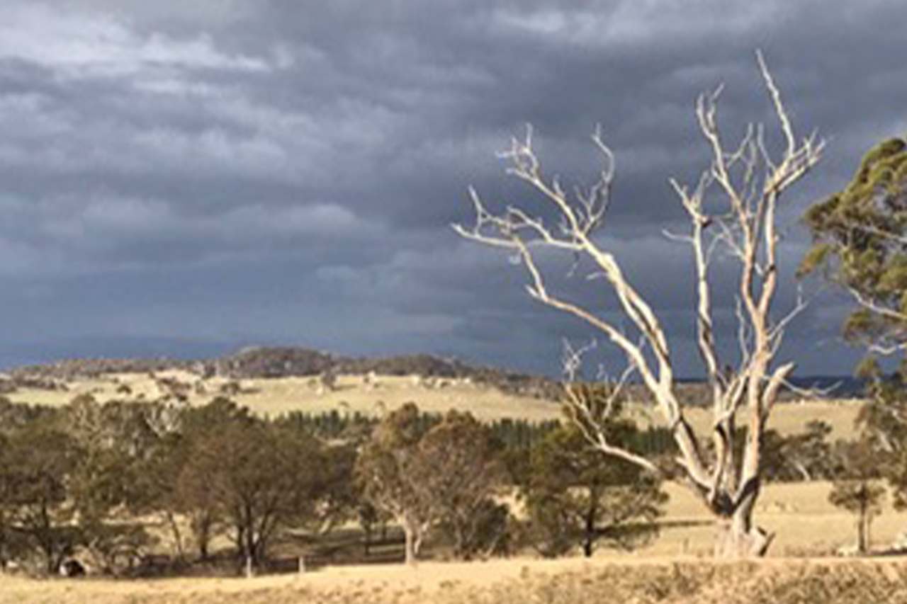 8815 Kings Highway, Bungendore For Sale by Farmbuy.com - image 53