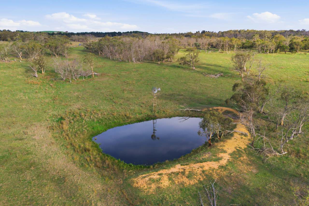8815 Kings Highway, Bungendore For Sale by Farmbuy.com - image 45