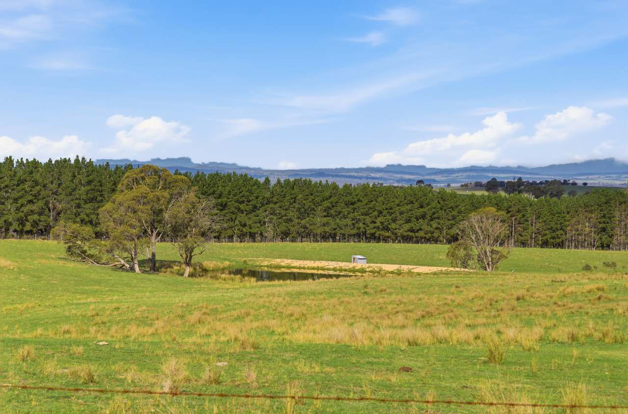 8815 Kings Highway, Bungendore For Sale by Farmbuy.com - image 29