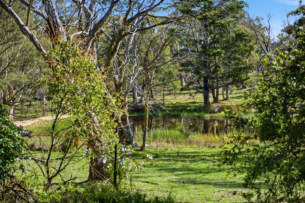 8815 Kings Highway, Bungendore For Sale by Farmbuy.com - image 5