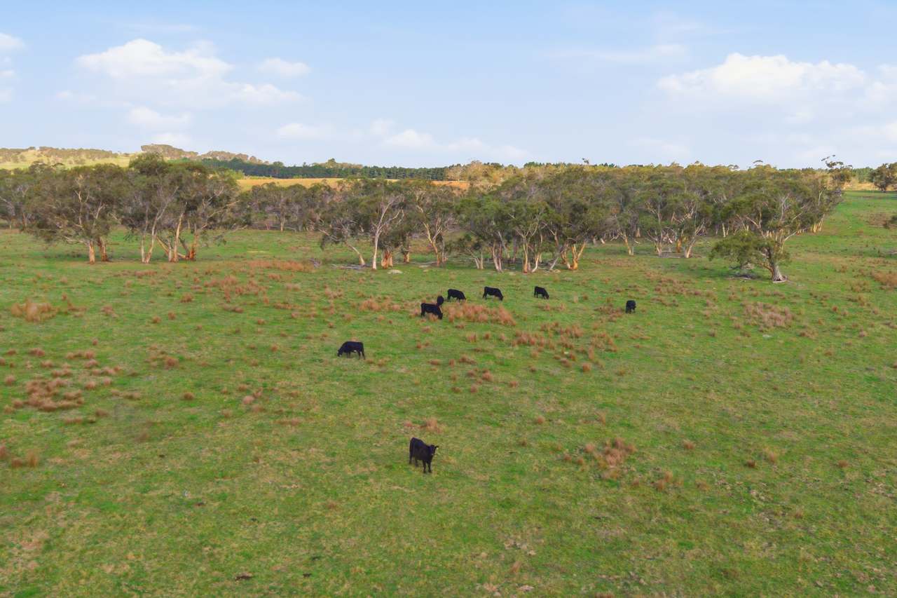 8815 Kings Highway, Bungendore For Sale by Farmbuy.com - image 44