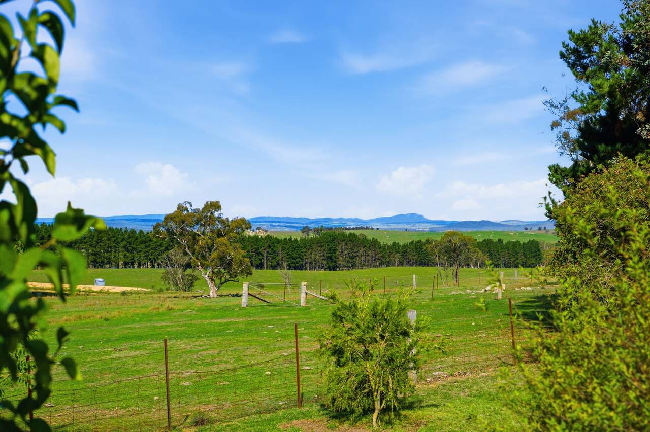 8815 Kings Highway, Bungendore For Sale by Farmbuy.com - image 6
