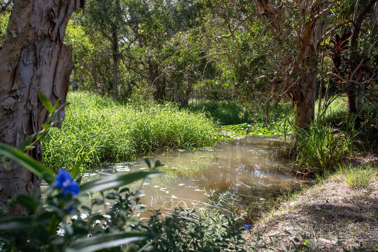 205 Petersen Road, Owanyilla For Sale by Farmbuy.com - image 33