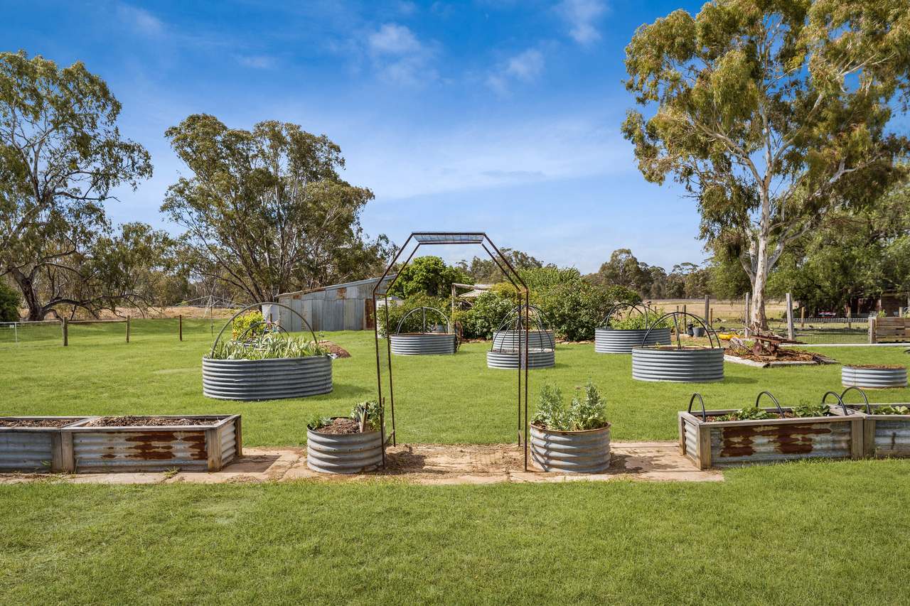 20 Bet Bet Mt Hoogly Road, Bet Bet For Sale by Farmbuy.com - image 2