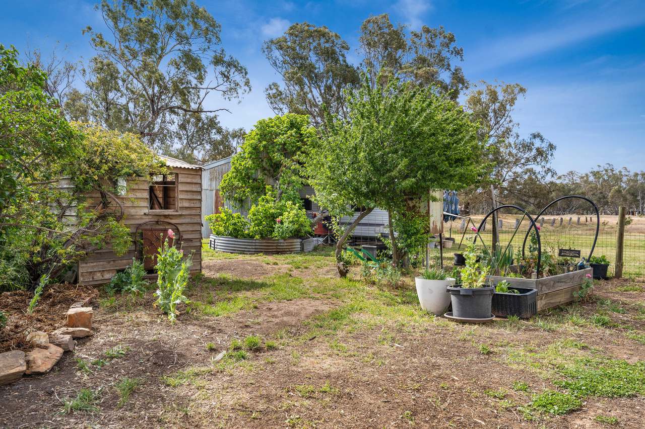 20 Bet Bet Mt Hoogly Road, Bet Bet For Sale by Farmbuy.com - image 8
