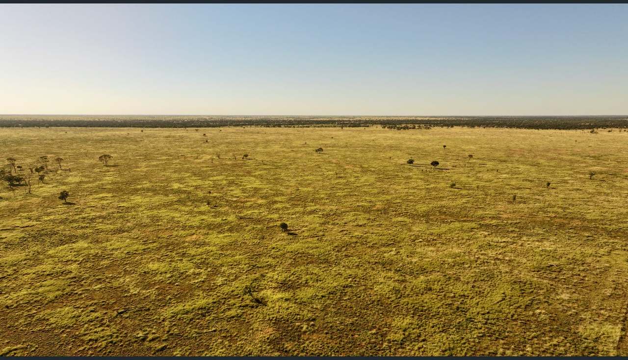 8339 Ilfracombe-Aramac Road, Aramac Auction by Farmbuy.com - image 3