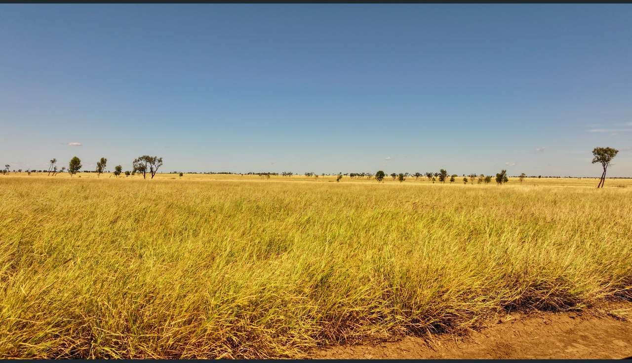 8339 Ilfracombe-Aramac Road, Aramac Auction by Farmbuy.com - image 11