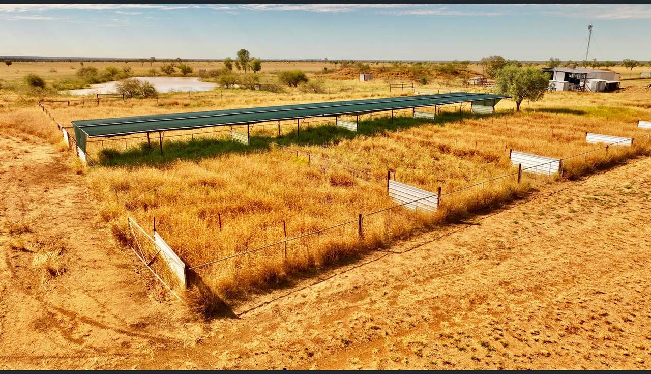 8339 Ilfracombe-Aramac Road, Aramac Auction by Farmbuy.com - image 9