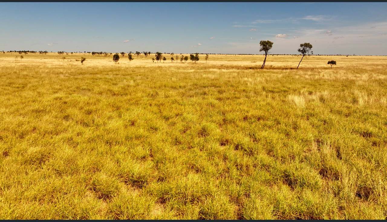 8339 Ilfracombe-Aramac Road, Aramac Auction by Farmbuy.com - image 8