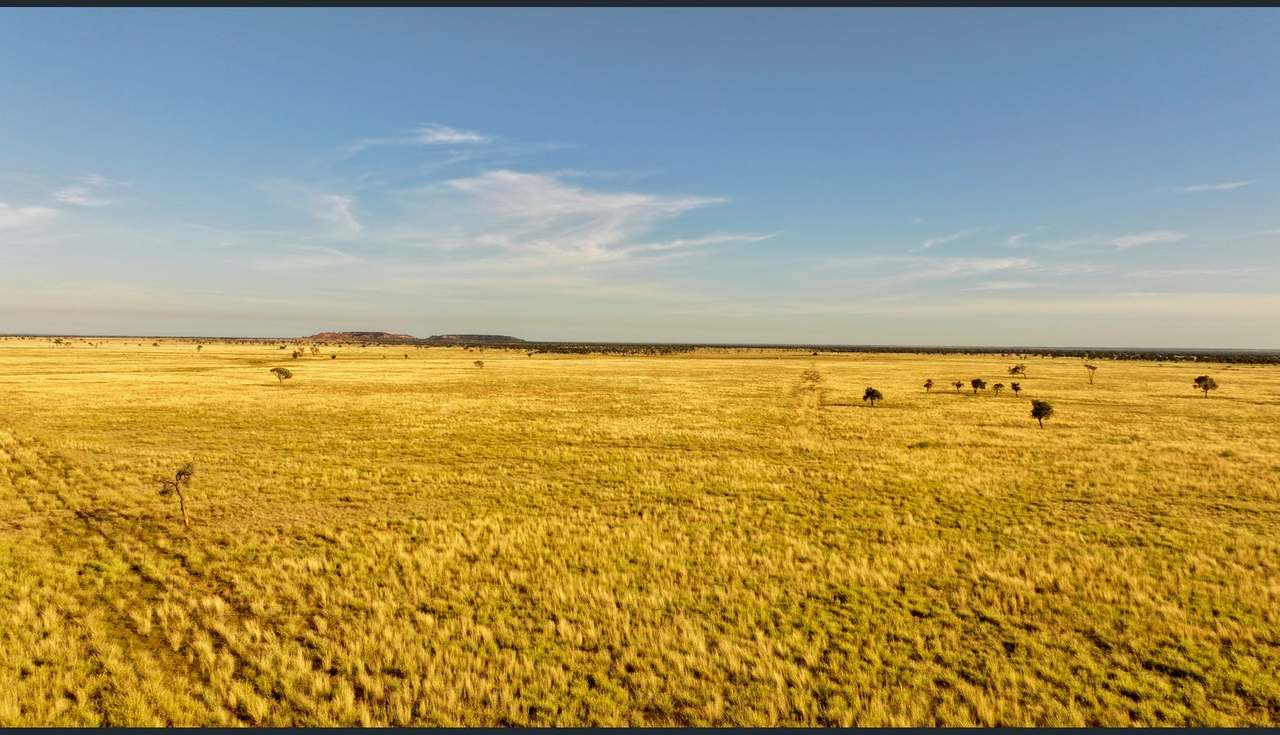 8339 Ilfracombe-Aramac Road, Aramac Auction by Farmbuy.com - image 1