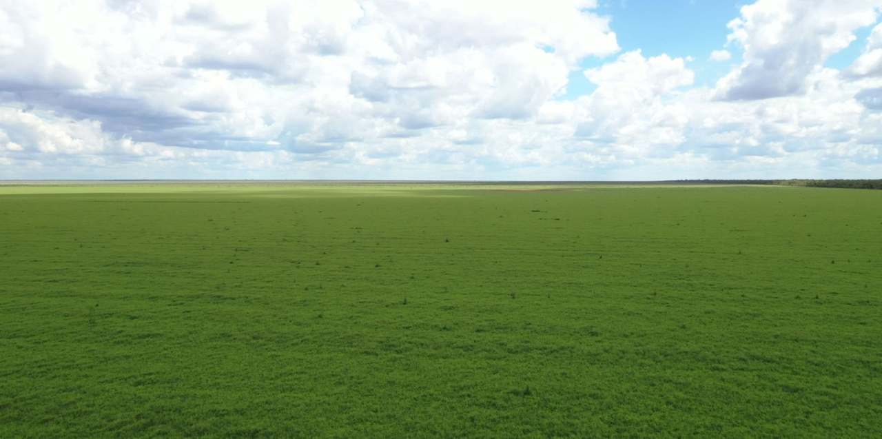 Sturt Plateau, Katherine For Sale by Farmbuy.com - image 8