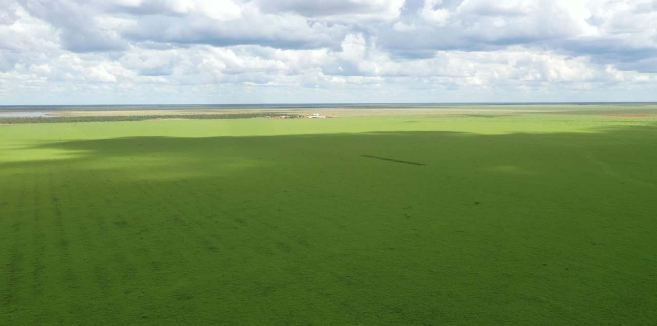 Sturt Plateau, Katherine For Sale by Farmbuy.com - image 2