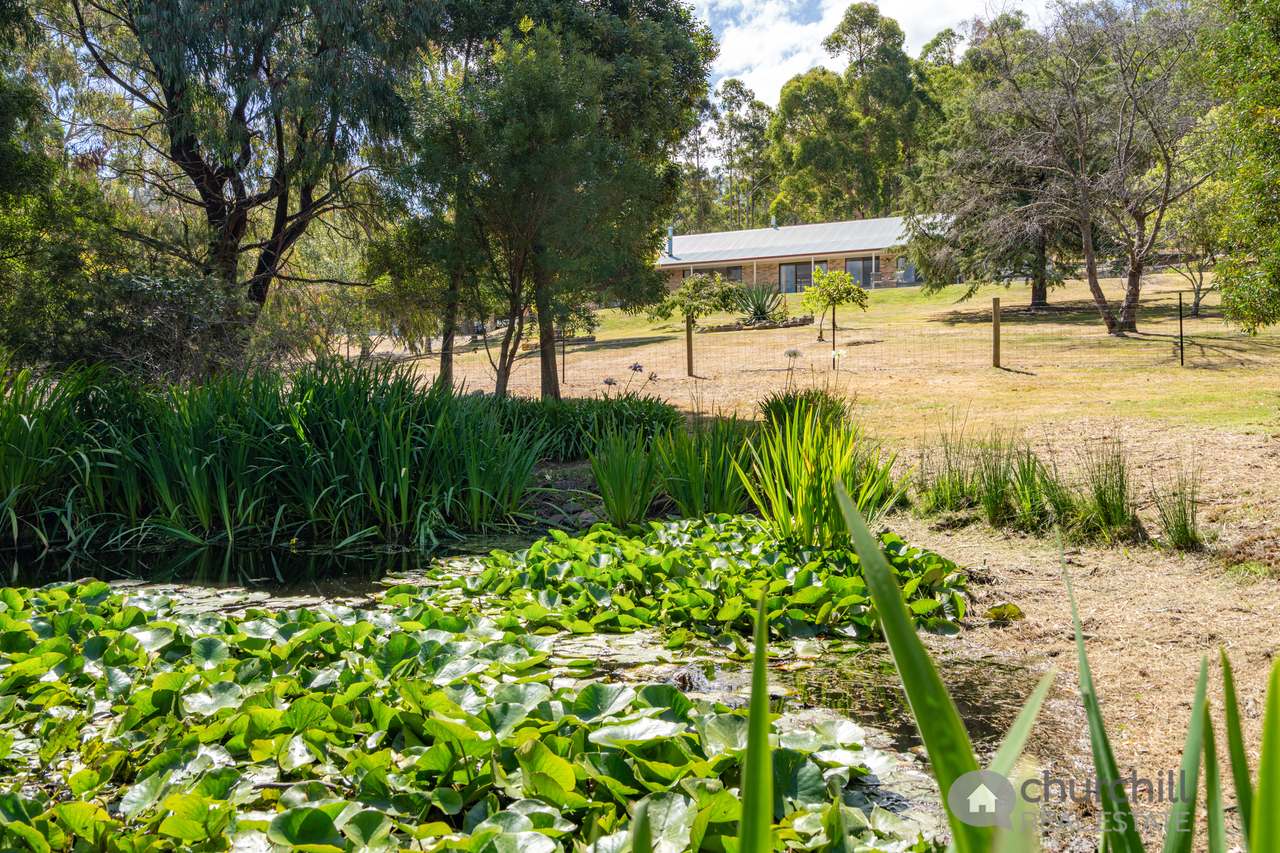 118 Fehres Road , Margate For Sale by Farmbuy.com - image 13