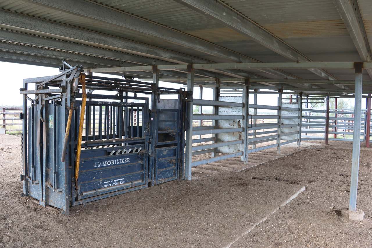 1075 McDonald Flat Road , Clermont Auction by Farmbuy.com - image 13